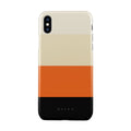 Triple Take - iPhone X / XS Case
